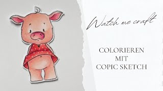 🐷🥠🍀Colorieren mit Copics SchweinchenGlück creativedepot🍀🥠🐷 [upl. by Kemeny]