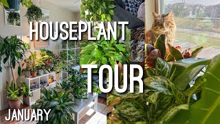 Houseplant Apartment Tour January 2024 [upl. by Fiorenze]