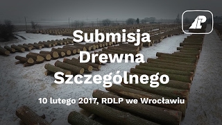 SUBMISJA DREWNA SZCZEGÓLNEGO w RDLP we Wrocławiu [upl. by Teplitz]