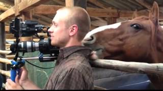 FUNNY Horse Nibbling Cameramans Ear while TV interview is On [upl. by Melodee401]