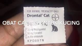 MEMINUMKAN OBAT CACING UNTUK KUCING TANPA MEMAKSA [upl. by Emilia]