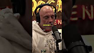 Joe Rogan Reacts to SHOCKING Shark Attack on Plexiglass box [upl. by Ariek]