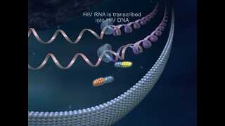 Truvada HIV Drug Therapy  Medical Animation by Watermark [upl. by Aisekal473]