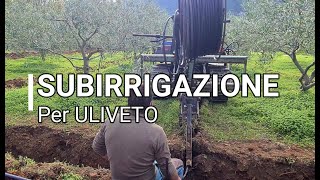 la Subirrigazione di un Uliveto [upl. by Bronnie]