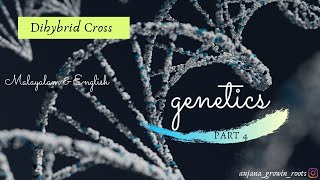 Dihybrid Cross  Malayalam  Genotypic amp Phenotypic Ratio Of Dihybrid Cross  6th Sem  NEET Biology [upl. by Aiam]