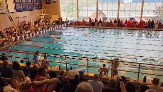 Hartwick Relays 101523200 IM relay [upl. by Pacificas]