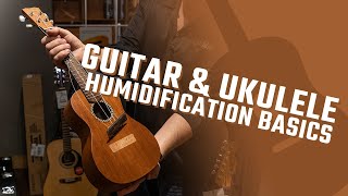 How to Humidify a Guitar or Ukulele  Care Tips  Heid Music [upl. by Ahsehyt]