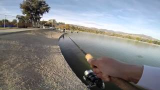 Hansen Dam Lake Fishing [upl. by Amalea]