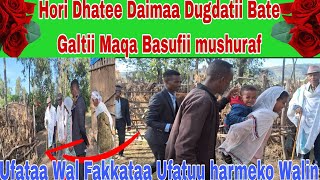 Guyaa Gaaelaa Barii Hori Dhahatii Bunaa Dafistee Maqa Bahafii Oromo Wedding5 [upl. by Tahp]