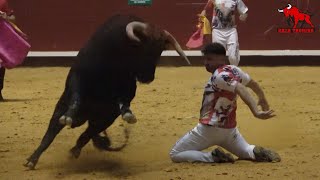 Gran final Campeonato de Cortes de Castilla y León La Flecha 20 Noviembre 2021 [upl. by Emily]