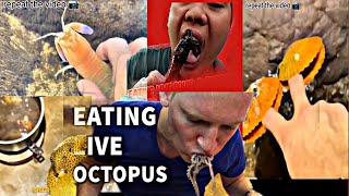 Eating Live Foods vibrant Seafoods trending [upl. by Naired]