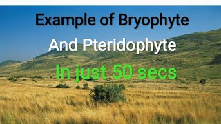 Learn Example of Bryophyte and Pteridophyte with Mnemonics  NEETOUAT Other exams shorts Kaibalya [upl. by Naziaf597]