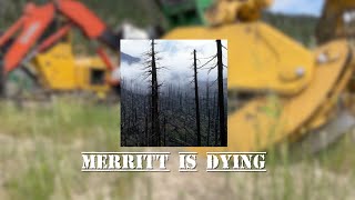 Forestry In Merritt [upl. by Corvin447]