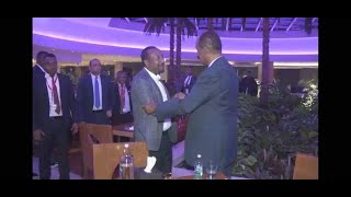 ኣብ ኣሜሪካ ዝተገብረ መጽናዕቲ ጀኖሳይድ ኣብ ልዕሊ ትግራይ ከምዝተፈጸመ ኣረጋጊጹ [upl. by Sukramaj899]