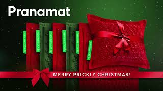 Pranamat The Perfect Wellness Gift for a Happy Prickly Christmas🎁 [upl. by Marzi]