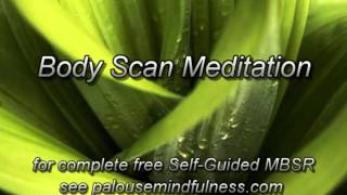 MBSR Body Scan Meditation 2013 version [upl. by Gaither]