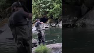 Summer steelhead fishing fishing steelheadfishing [upl. by Knarf359]