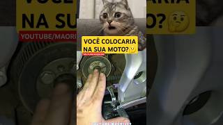 CB 300 COM CORREIA DENTADA🤔canalmaori250 yamaha memes meme suzuki motorcycle automobile ktm [upl. by Notxarb]