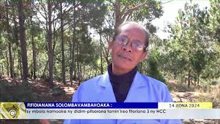 NY VAOVAO LIVE DU 14 JUIN 2024 BY TV PLUS MADAGASCAR [upl. by Uon]