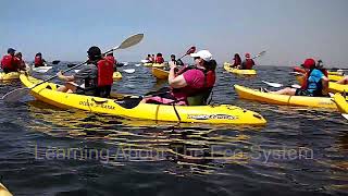 Carnival Imagination Ensenada Cruise  The Blowhole  Labufadora [upl. by Adena]