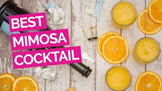 Best Mimosa Cocktail Recipe [upl. by Aviv261]