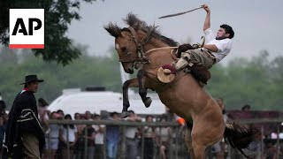 Argentines celebrate Tradition Day showcasing the gaucho culture [upl. by Christian]