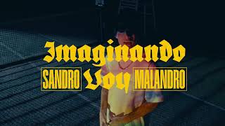 Sandro Malandro  Imaginando Voy Visualizer [upl. by Baxter]