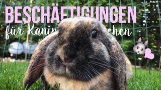 10 Beschäftigungen für Kaninchen 🐰 [upl. by Pine811]