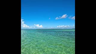 Florida Keys  Paradise  Beaches  Boating  Island  Ocean beach florida saltlife fishing sea [upl. by Atirac]