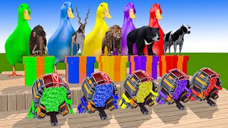 5 Giant Duck CartoonCowMammothElephantLionPaint Wild Animals Crossing Fountain Animation [upl. by Dustie]