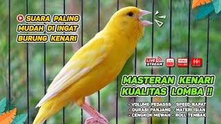 Kenari GACOR‼️ Masteran Burung Kenari PAUD dan Pancingan Kenari MACET BUNYI EPISODE 1553 [upl. by Louie]