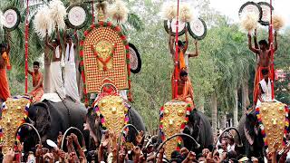 Kerala Festival Thrissur Pooram Song  Kaanthaa njanum varaam Lyrics amp Meaning [upl. by Ahtrim205]