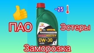 DEVON SPEED MASTER A5B5 0w30 vs Татнефть Люкс ПАО и Sintec Premium заморозка моторного масла 25 [upl. by Reis]