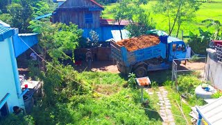 Opening new project Dozer KOMATquotSU pushing soil into water and 5 ton trucks [upl. by Saltsman299]