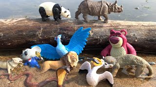 Zoo Animal Toys for Kids with Some Animal Facts [upl. by Ax]