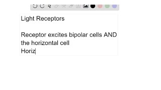 When light strikes a receptor does the receptor excite or inhibit the bipolar cells What effect d… [upl. by Henderson]