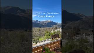 Life in the Mountains of Crete Greece 🇬🇷 [upl. by Orat983]