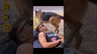 Amazing funny video🤣🤣trending youtubeshortsviralvideo funnyfunnyvideo facebook funny funny [upl. by Mayer]