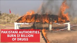 1 billion of drugs burned by Pakistani authorities [upl. by Hertberg951]