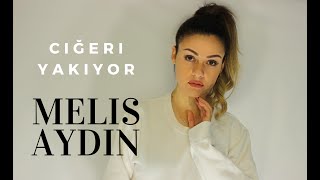 Ciğeri Yakıyor  Melis Aydın  Cover [upl. by Bunni417]