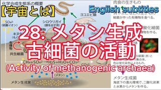 【宇宙とは】28 メタン生成古細菌の活動、（Activity of methanogenic archaea）、English subtitles [upl. by Ellainad]