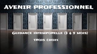 guidance intemporelle avenir professionnel 3 choix guidance tirage message predictions [upl. by Dielu980]