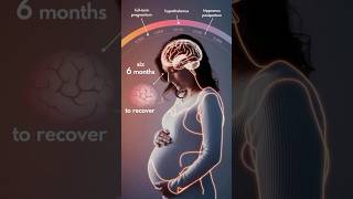 Why Pregnant Women Have Bigger Brains [upl. by Orian]