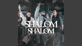 Shalom Shalom feat Chris Armand [upl. by Ainoz]