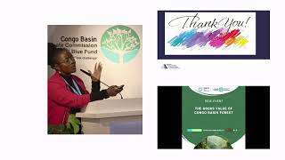 COP29  Side Event  The gross value of Congo Basin Forest [upl. by Tamra]