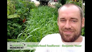 Neighbourhood communal Foodforest at Brievengat curacao [upl. by Naval]