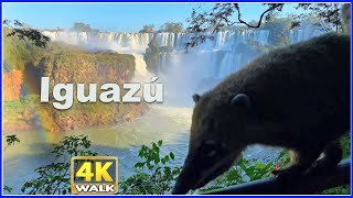 【4K】WALK Iguazu Falls in Misiones ARGENTINA Devils Throat [upl. by Aiht]