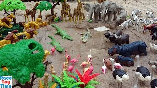 Playmobil Safari Wild Animals Toys in the Sandbox  Learn Animal Names For Kids [upl. by Nie]