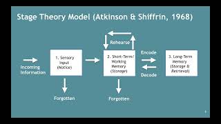 Memory–Atkinson amp Shiffrins Stage Theory Model 252 [upl. by Dyana970]