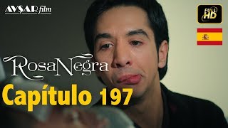 Rosa Negra  Capítulo 197 HD En Español [upl. by Renckens]